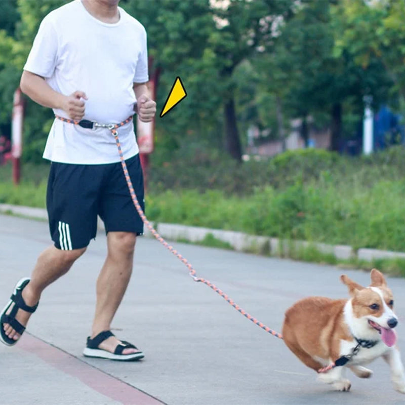 Handsfree hundkoppel