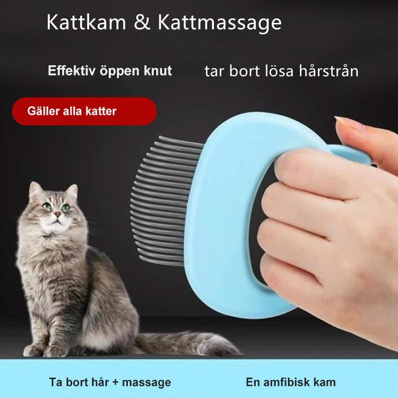 Kattkam & Kattmassage (2 in 1)