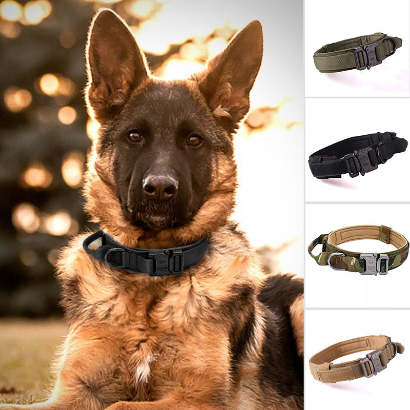 Hundhalsband med handtag